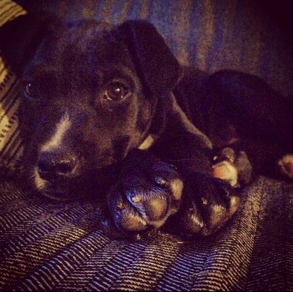 Meet your Posher, Irene - Picture 2 of 2